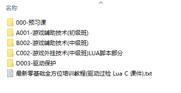 游戏辅助技术培训教程(驱动过检+Lua+C+课件),驱动保护