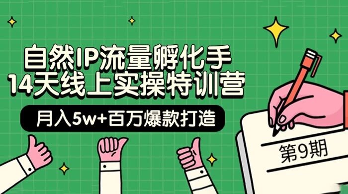 自然 IP 流量孵化手 · 14 天线上实操特训营【第9期】：月入 5w+ 百万爆款打造 (74节) ...