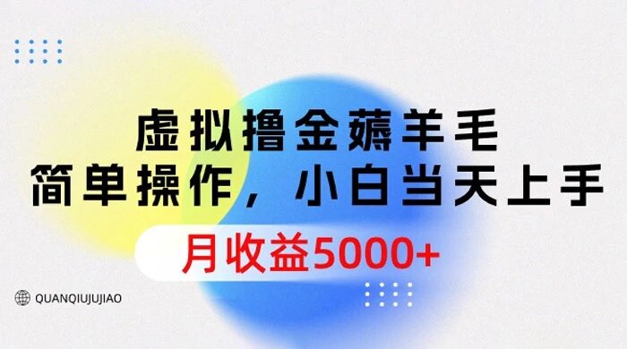 虚拟撸金薅羊毛，简单操作，小白当天上手，月收益 5000+