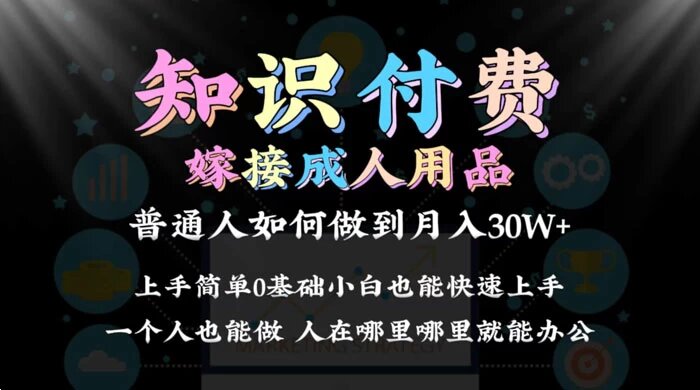 2024 普通人做知识付费结合成人用品如何实现单月变现 30w 保姆教学1.0