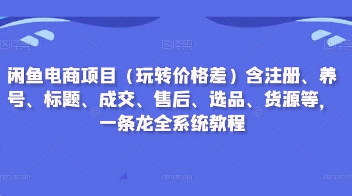 闲鱼电商项目（玩转价格差）含注册、养号、标题、成交、售后、选品、货源等，一条龙全系统教程 ...