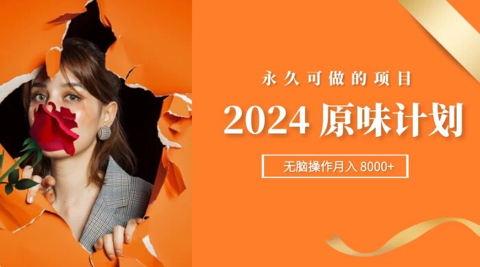 2024 原味计划，每天 30 分钟，无脑操作月入 8000+，永久可做的项目