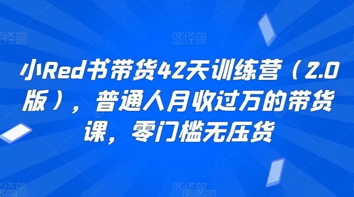 小红书带货 42 天训练营（2.0版），普通人月收过万的带货课，零门槛无压货