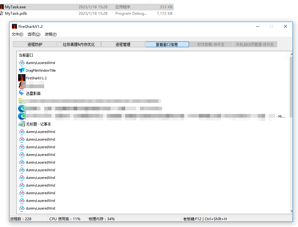 MyTask/FireShark，进程保护，垃圾清理内存优化，进程管理，查看窗口信息等类似电脑管家的功能，VS2019编译 ...