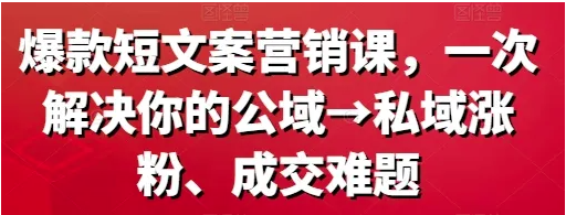 爆款短文案营销课 一次解决你的公域 私域涨粉、成交难题