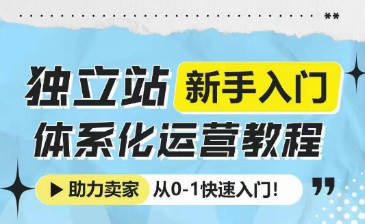 独立站新手入门体系化运营助力卖家从0-1入门