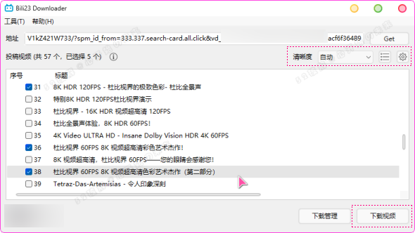 B站视频下载器Bili23-Downloader v1.55.0新春版