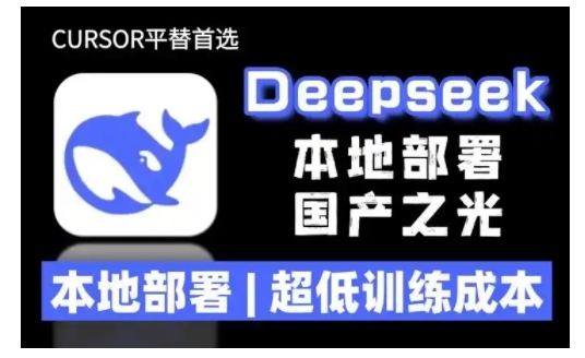 deepseek R1 大型模型本地安装部署(文件+教程)