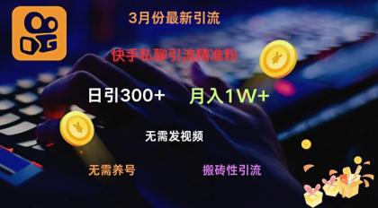 快手视频私信引流方法精准粉，当日奏效不用上传视频打金引流法日引300