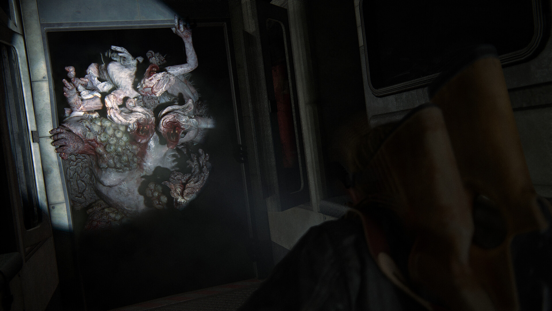 最后生还者2：重制版/美国末日2/The Last of Us Part II Remastered