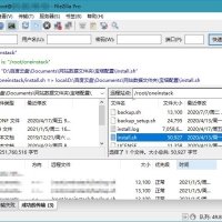 FileZilla Free v3.69.4 / PRO v3.69.4 正式版