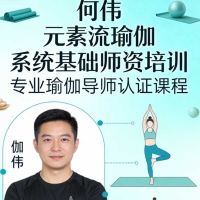 何伟 元素流瑜伽系统基础师资培训67GB