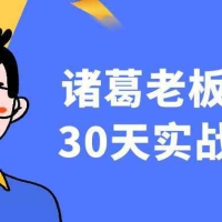 诸葛老板IP起号30天实战训练营