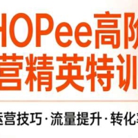 梦凡老师Shopee虾皮高阶运营精英特训营课