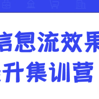 柯楠信息流效果AI提升集训营