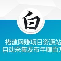 搭建网赚项目资源站自动采集发布年赚百万