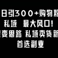 日引 300+ 购物粉，超级裂变思路，私域卖货新玩法，小红书首选副业！