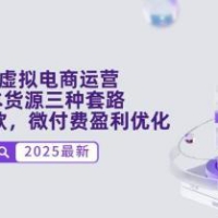 淘宝虚拟电商运营，0成本货源三种套路，单店多爆款，微付费盈利优化