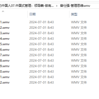 【曾仕强中国式管理】07-中国式管理：领导篇-做有世界观的中国人，曾仕强-管理思维