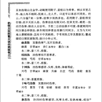 [中医古籍][珍版海外回归中医善本古籍丛书系列]海外回归中医善本古籍丛书（续）第9册PDF文档