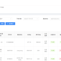 香港股票源码/大宗交易与新股申购系统源码/全套视频教程