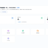 迅风DNS Pro二级域名分发全新V3.1.2系统源码