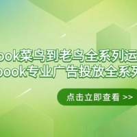 Facebook 菜鸟到老鸟全系列运营玩法 + Facebook 专业广告投放全系列课程