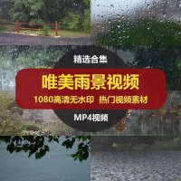 唯美意境下雨天空树叶水滴水珠雨中屋檐伤感短片剪辑视频素材