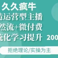 久久疯牛自然流+微付费12月23打造运营型主播