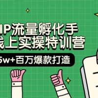 自然 IP 流量孵化手 · 14 天线上实操特训营【第9期】：月入 5w+ 百万爆款打造 (74节)