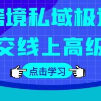 跨境私域极速成交线上高级课