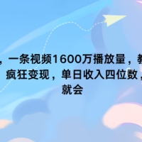 最新项目，一条视频1600万播放量，教你如何利用 ai视频，疯狂变现