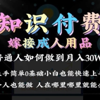 2024 普通人做知识付费结合成人用品如何实现单月变现 30w 保姆教学1.0