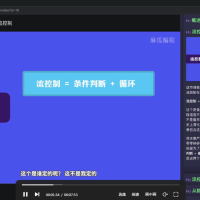 《从零基础学会Python：实用脚本编程》