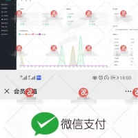 新微信打赏视频平台源码 代理平台+会员功能+多套模板