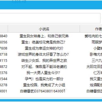 PC番茄小说下载测试工具软件v0.1