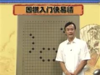 围棋入门快易精围棋入门王元围棋视频讲座