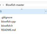 Blowfish加解密算法源码（C++实现的）