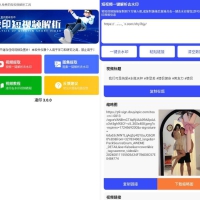 安卓凌印v4.2.0清爽版 抖快等去水印工具