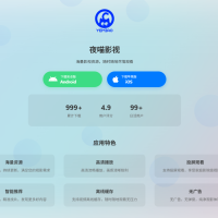 非常好看的APP下载页源码02