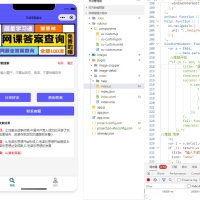 网课搜题 小猿题库多接口微信小程序源码 自带流量主