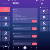 速度下载V1.3.5聚合全网短视频解析下载神器