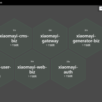 云微服务Nacos+ElementPlus后台管理系统，前后端分离后台管理系统，含代码生成器，多端兼容、多版