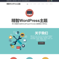 电脑维修店的主题 简洁wordpress企业主题模版