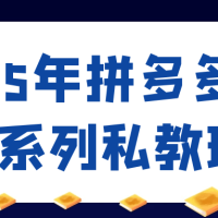 2025年拼多多实战系列私教班
