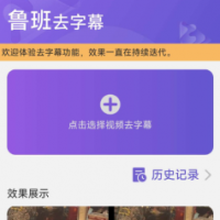 鲁班去除视频字幕的软件