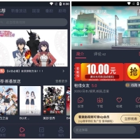 Android 次元站 v1.3.4.8 去广告纯净版