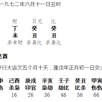 [断卦预测-实例分析]八字分析丨何先生终身命造分析