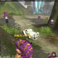 [端游] 王者世界/一键游戏端/客户端/GM工具/视频教程