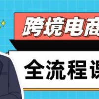 跨境电商全流程课程，社媒运营独立站搭建，掌握选品流量，实现高效出海